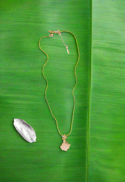 Stunning Seashell Pendant Chain Necklace